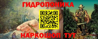 мдпв Лесосибирск
