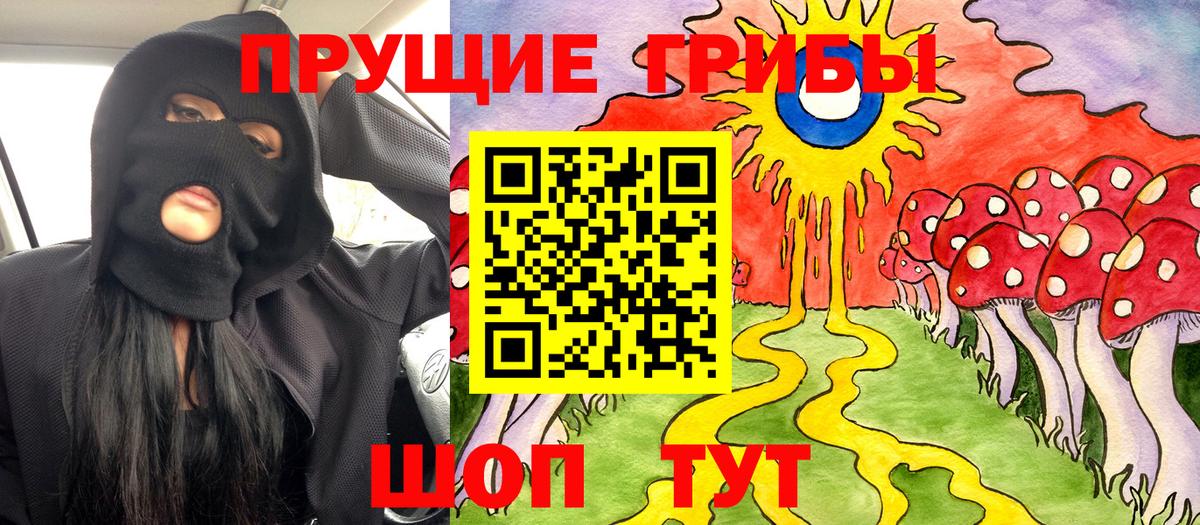 Заречный  Галлюциногенные грибы Psilocybe  Псилоцибиновые грибы GOLDEN TEACHER  Вход с VPN 