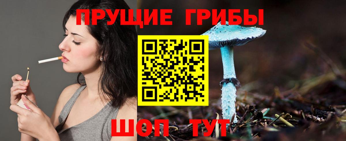 Галлюциногенные грибы MAGIC MUSHROOMS Заречный